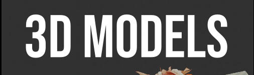 3D Models